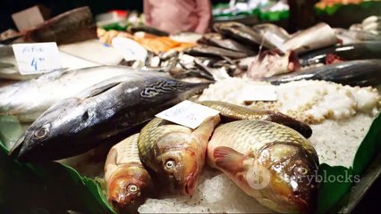 Discover the Magic of Costa Brava!