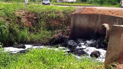 b'Crime ambiental  denunciado em Paragominas'
