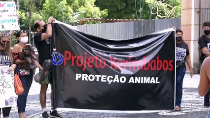 b'Maus-tratos aos animais  pauta de protesto em Belm'