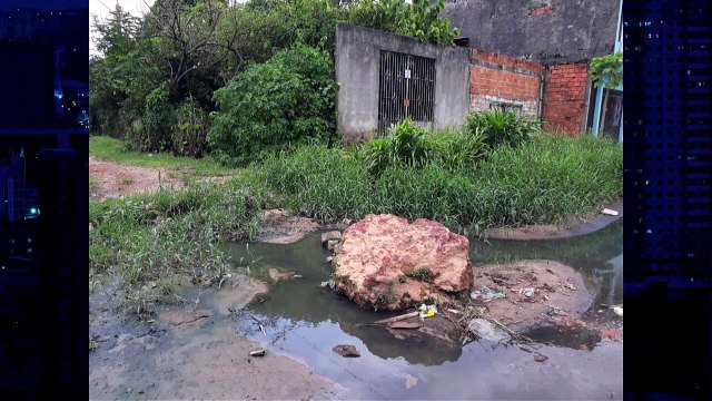 b'Alagamentos e mato prejudica moradores da Cabanagem '