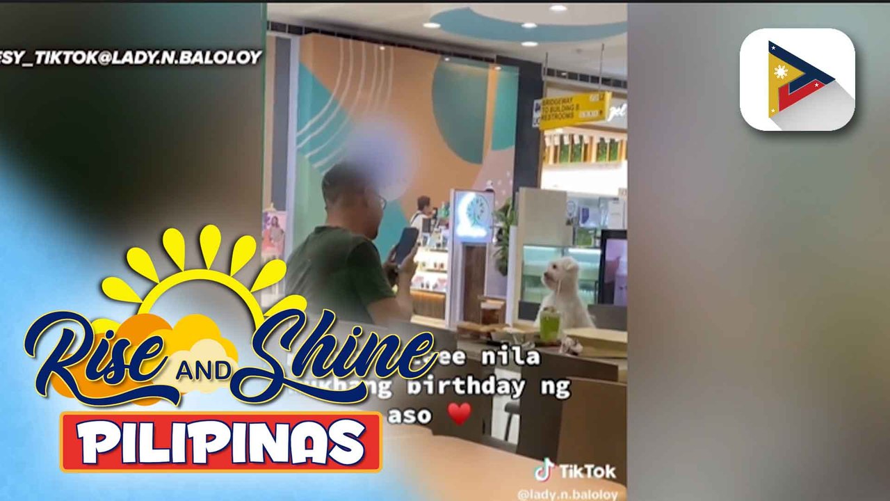 Sunshine Stories | Video ng isang furparent kasama ang kanyang furbaby na nadiriwang ng kaarawan, trending!