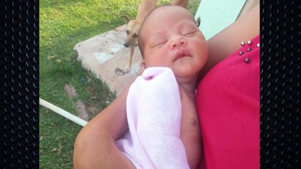 b'Policiais ajudam mulher em trabalho de parto no interior'