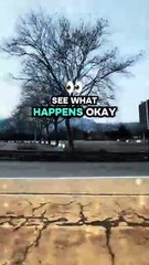 Why  #BR3 #motivation #motivationalvideo #motivationalquotes #mindsetmotivation