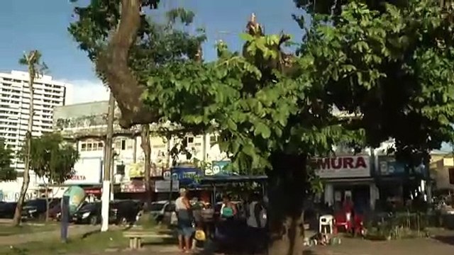 b'Galhos de rvores pela calada causam transtornos aos pedestres em So Brs'