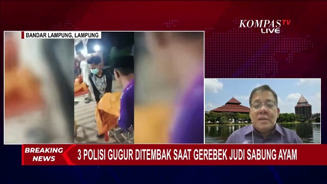 Kriminolog UI Angkat Bicara soal 3 Polisi Gugur saat Gerebek Judi Sabung Ayam di Lampung