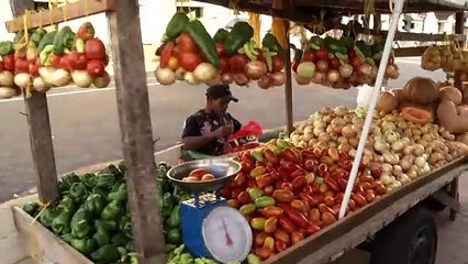 b'Sons do Ver-o-Peso vira pesquisa na UFPA'