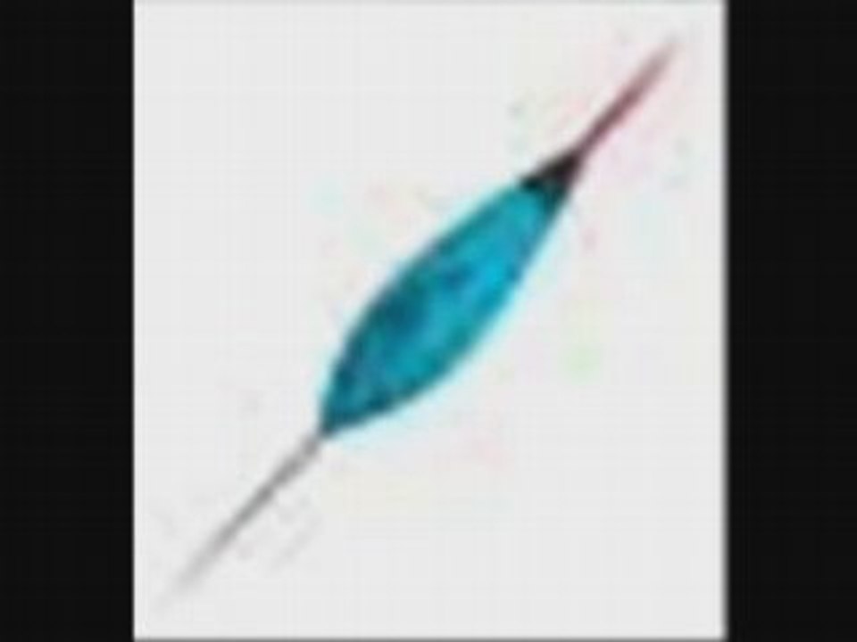 Floteur rive et sensas