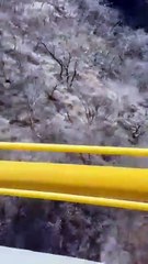 Incendio de basurero en El Salto llega al bosque; reportan control al 70 por ciento