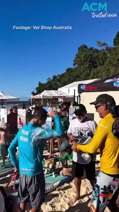 Red cattle dog team wins 2025 Dog Surfing Championship