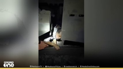 മദ്യപിച്ച് ബോധരഹിതരായി റെയിൽവേ ട്രാക്കിൽ; എമർജൻസി ബ്രേക്കിട്ട് രക്ഷിച്ച് ലോക്കോ പൈലറ്റ്