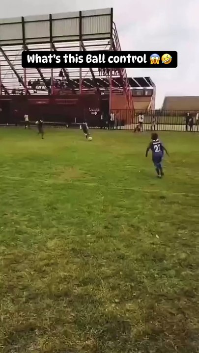 "Hilarious Comedy Videos That Will Make You Laugh