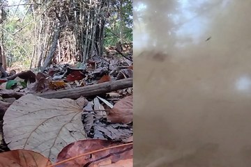 नक्सलियों के नापाक मंसूबों पर फेरा पानी