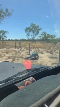 Boy Trips and Falls While Attempting to Jump Over Barbed Wire