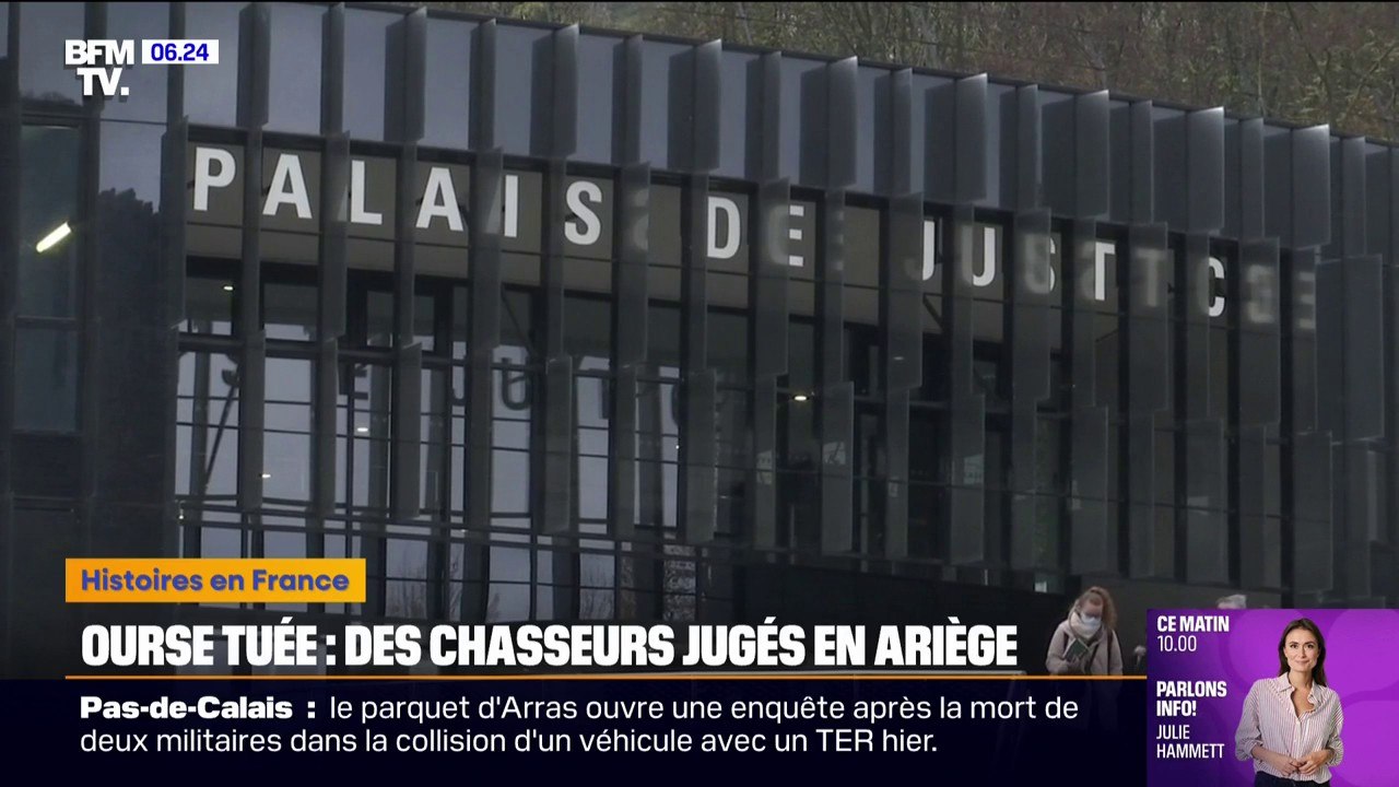 Ariège: des chasseurs jugés pour avoir tué une ourse lors d'une battue en 2021