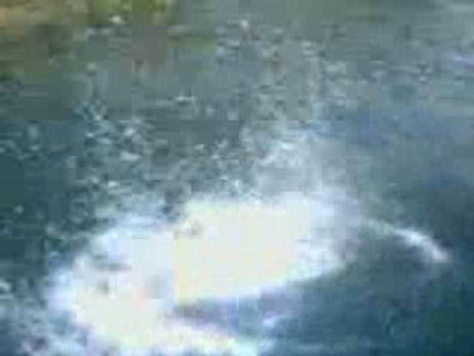 Les_algeriens_des_kamikazes