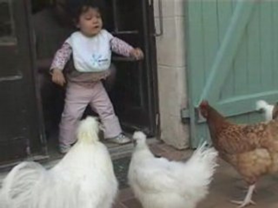 LES COCOTTES DE MAA