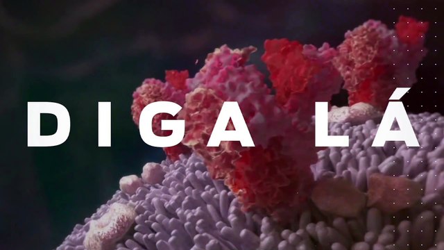 b'Saiba a forma correta de cuidar de sua higiene bucal com a doutora Leilla Hanna '