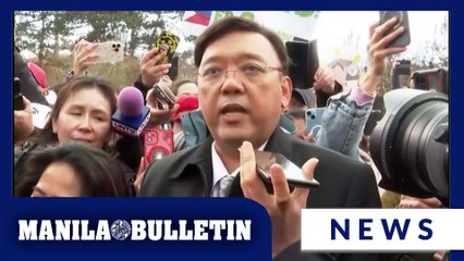 ‘Sorry, I cannot come home’: Harry Roque seeks asylum in the Netherlands