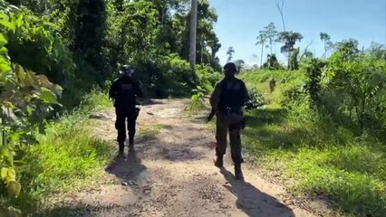 b'Operao contra desmatamento e queimadas ilegais no Par'