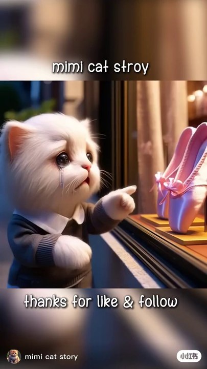 MINI CAT STORY