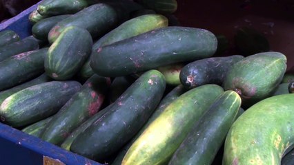 b'Bons hbitos alimentares em tempo de Pandemia'