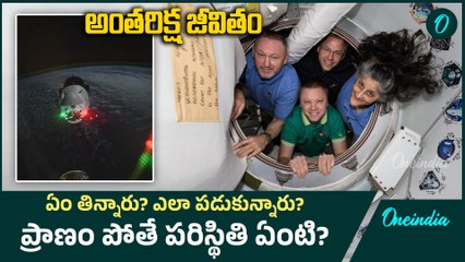 Sunita Williams - అంతరిక్షంలో ఈ 9 నెలలు ఎలా గడిచింది ?  NASA | Oneindia Telugu