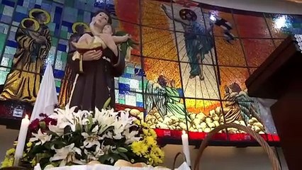 b'Dia de Santo Antnio celebrado com missa mantendo distanciamento'