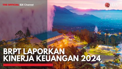 BRPT Laporkan Kinerja Keuangan 2024