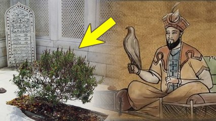 Aurangzeb Tomb News Update:औरंगजेब की कब्र पर तुलसी का पौधा क्यों है,History क्या है  |Boldsky