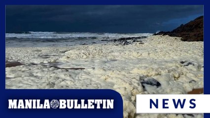 Strange foam, dead fish wash ashore at 2 Australian beaches as surfers fall sick