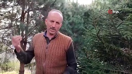 Yayla evleri talan edildi! Sis Dağı Yaylası’nda çığın ardından yeni felaket