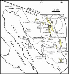 Map of Sonora. Peta Sonora. Sonora Map. Map of Sonora State. Peta Negara Bagian Sonora. Sonora States Map. Map of State of Sonora. State of Sonora Map.