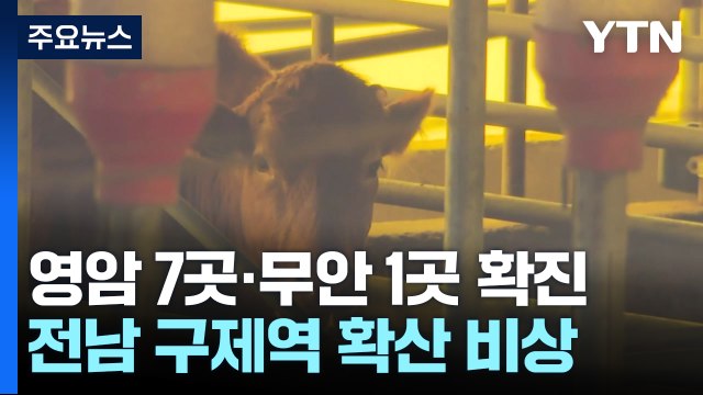 전남 구제역 확산 비상... 주말까지 백신 접종 완료 / YTN