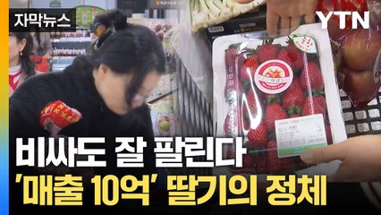[자막뉴스] "한 상자 평균 10만 원"... 인기 만점 딸기 '죽향' / YTN