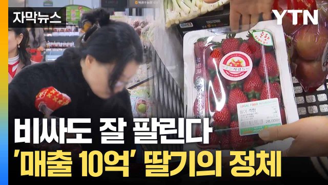 [자막뉴스] 한 상자 평균 10만 원 ... 인기 만점 딸기 '죽향' / YTN