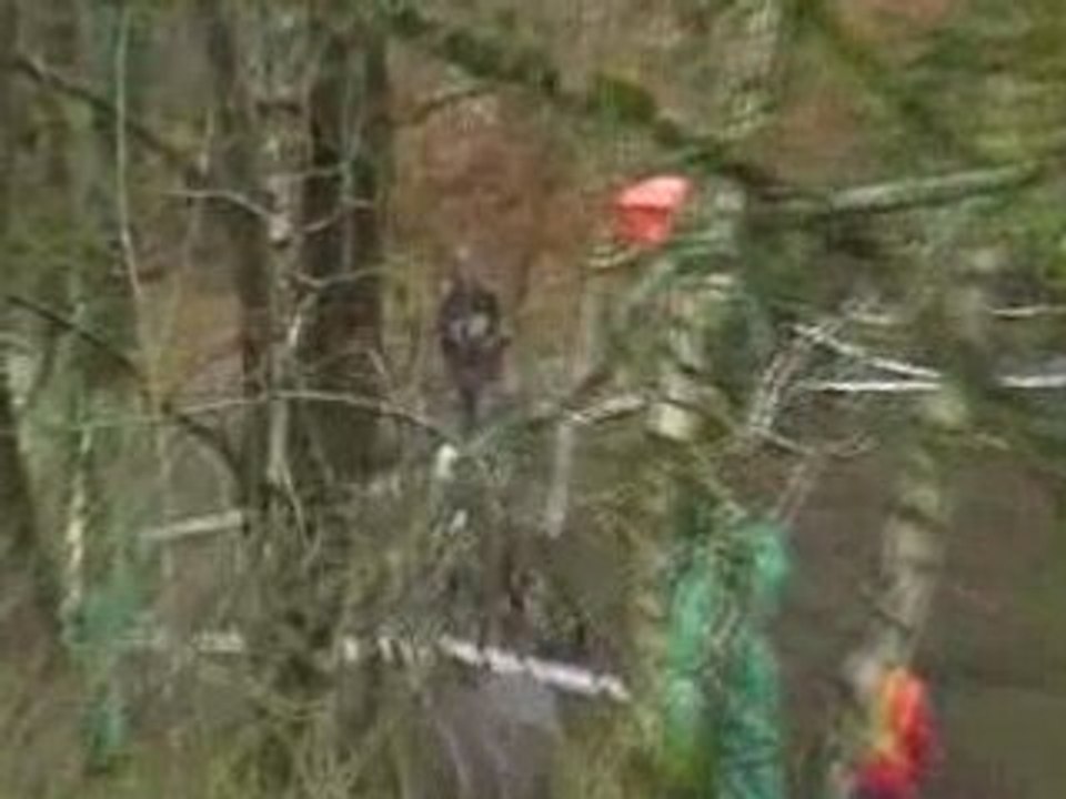 Chute montaigu