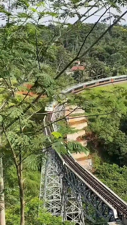 Kereta Api Harina kereta api yang melayani rute Bandung-Surabaya Pasarturi