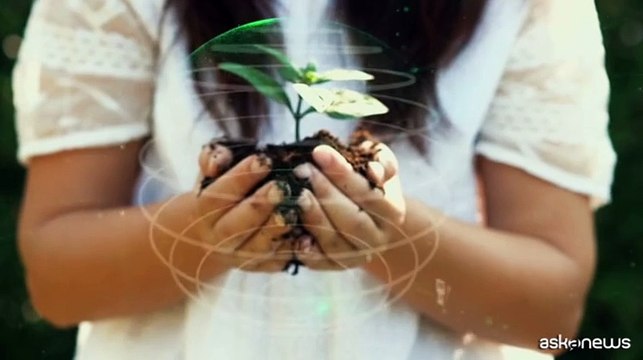 Ecogentra: la piattaforma per calcolare le emissioni CO2 delle aziende