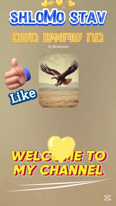 מה שרואים משם-stav.sh