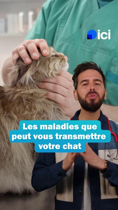 Chats : les maladies qu'ils peuvent vous transmettre