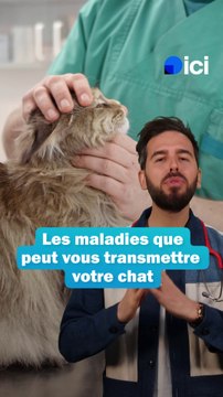 Chats : les maladies qu'ils peuvent vous transmettre