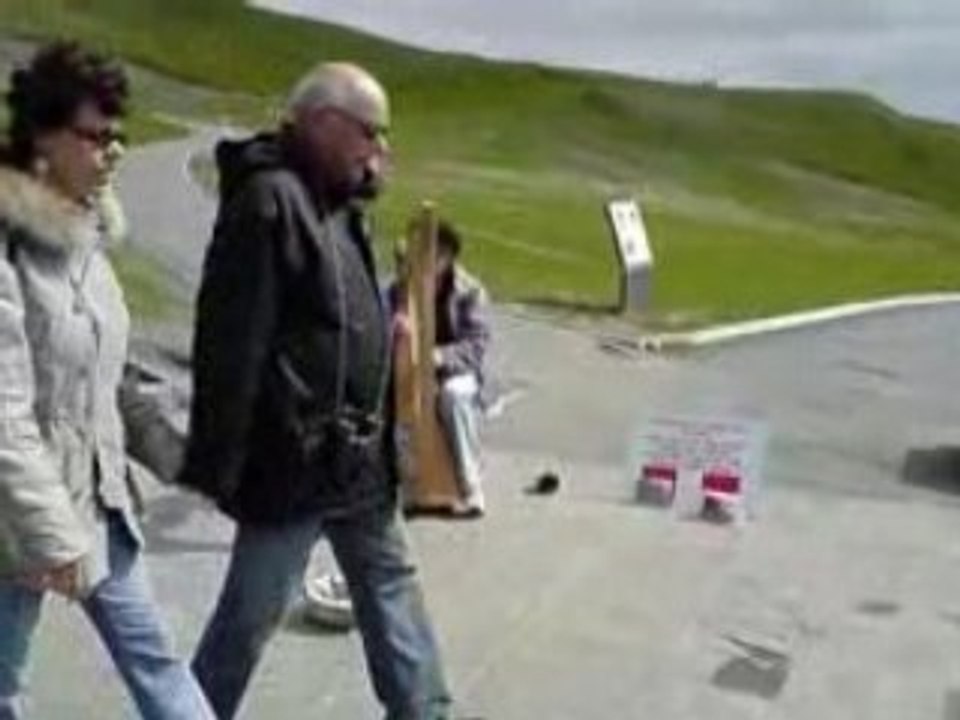 Harpe sur les Cliffs of Moher