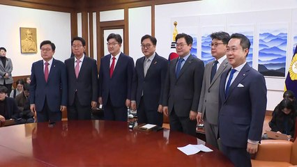 여야, 이번 달까지 정부에 추경안 제출 요청하기로 / YTN