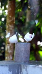 Gun fire tips videos #love  #viral  #short  #video