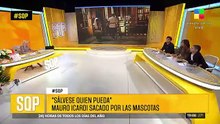 El escándalo Wanda Nara-Mauro Icardi: gritos, perros y una pelea de novela