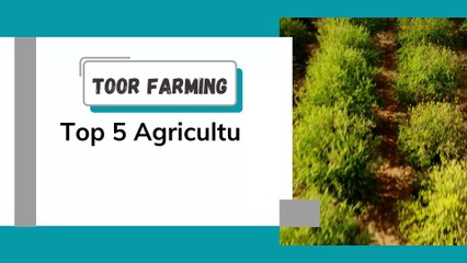 Toor Farming Top 5 Agricultural Innovations in 2025