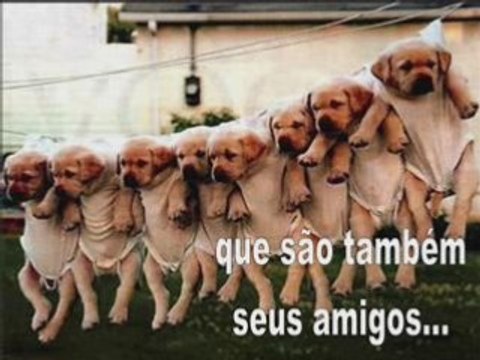 Cartão DVD - Dia das Mães - Feliz dia das Mães