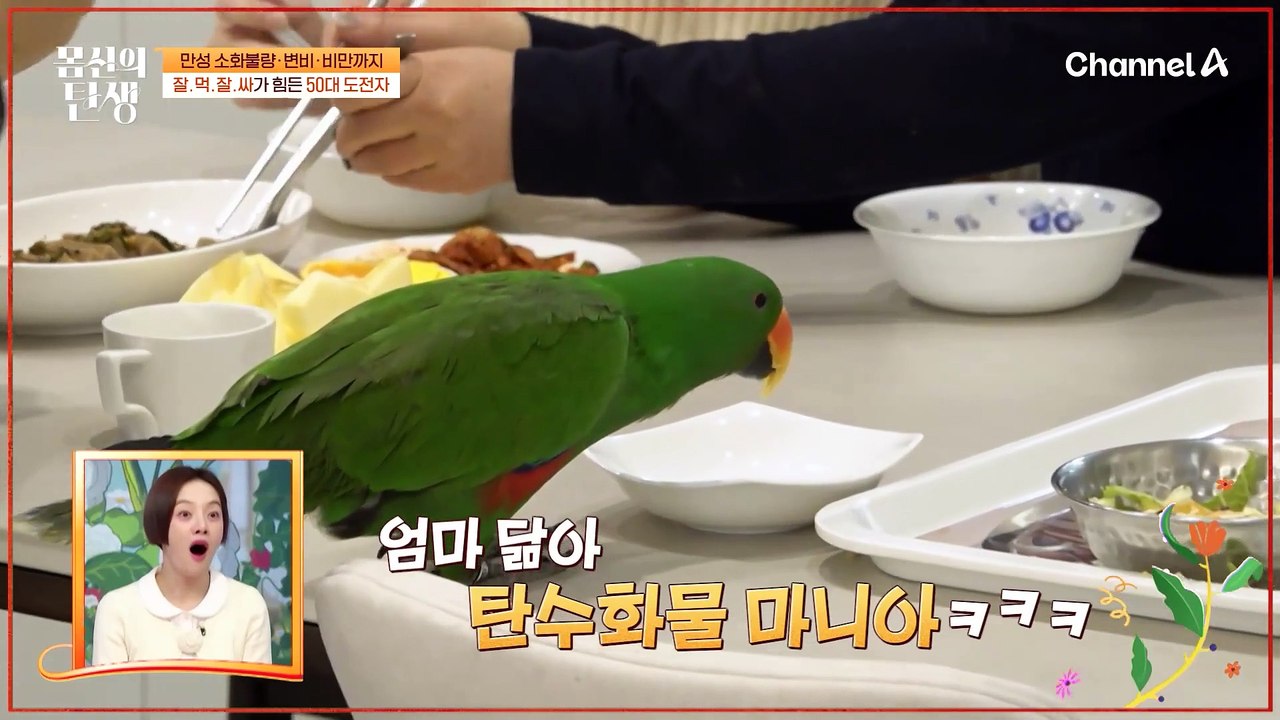 ※만성 소화불량에 변비, 비만까지?!※ 잘/먹/잘/싸가 힘들다는 오늘의 도전자♨