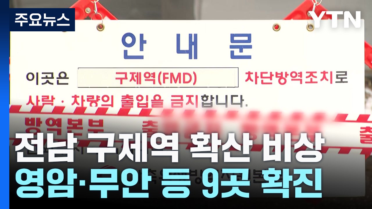 전남 구제역 확산 비상..."주말까지 백신 접종 완료" / YTN