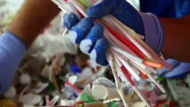 b'Impacto das embalagens no meio ambiente'